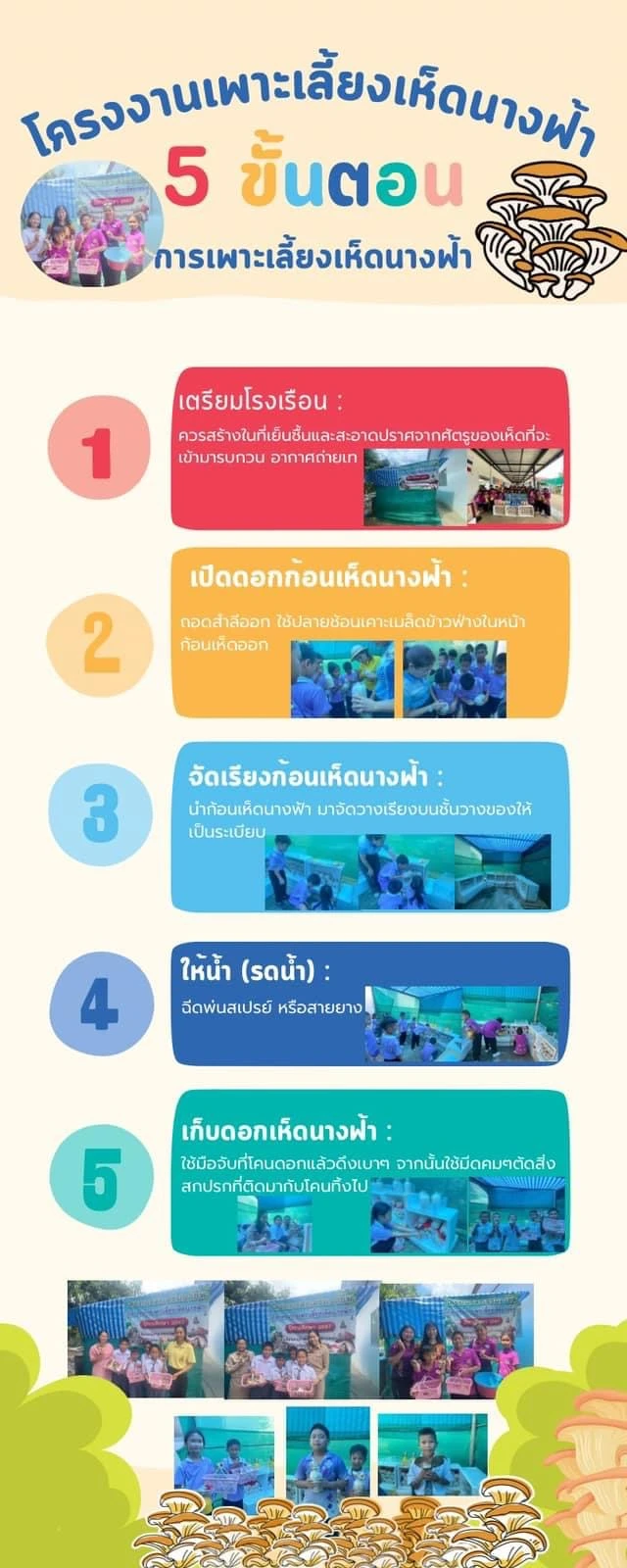 โครงการเพาะเห็ดนางฟ้า