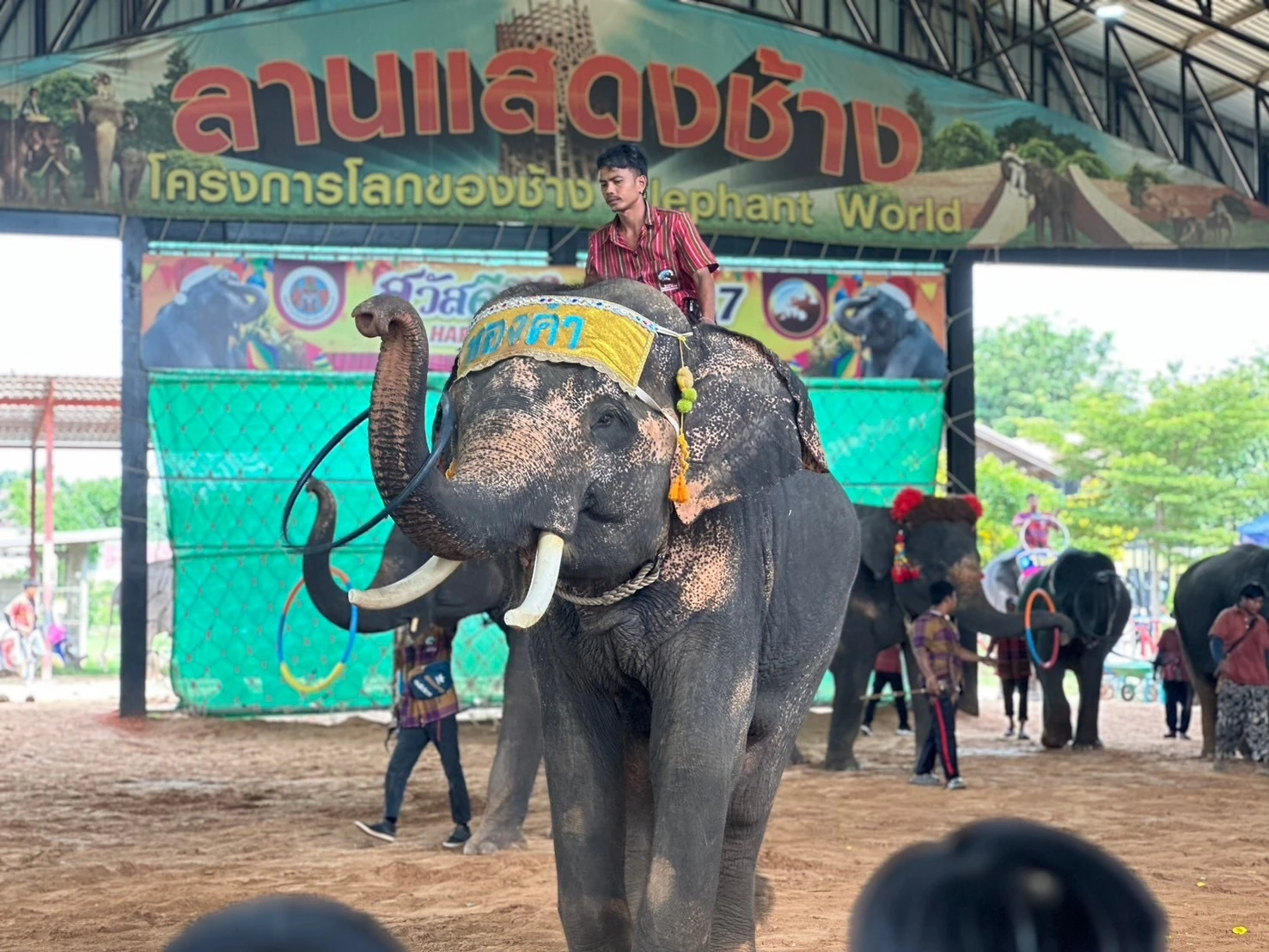 ทัศนศึกษาแหล่งเรียนรู้นอกสถานที่..ศูนย์คชสารช้าง จ.สุรินทร์